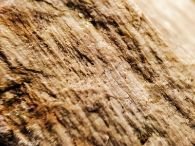 Tahta tanesine benzeyen doğal bir dokuya yakın çekim.. 