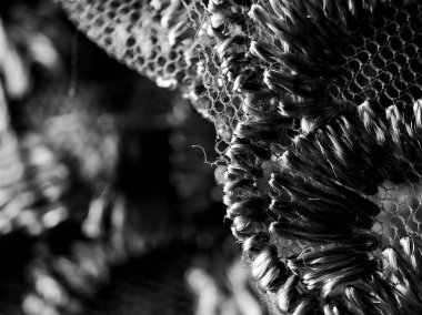 siyah ve beyaz soyut kumaş arkaplanı