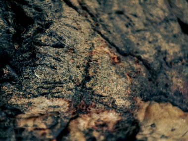 Sert taş yüzeyde, düzensiz desenli koyu renkli bir görünüm sergiliyordu..