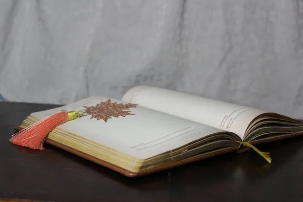 Tahta Masa Üzerinde Zarif Yer İmlerine sahip Günlüğü Aç