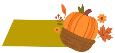 Kabak ve yapraklar beyaz arkaplanda. vektör illüstrasyonu