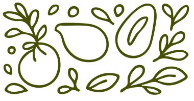 Bir çift yeşil yaprak. Vektör illüstrasyonu