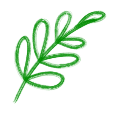 beyaz arkaplanda yeşil yapraklar