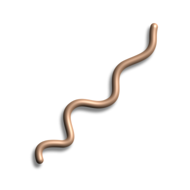 İnsan anatomisi anatomisi. 3 boyutlu resimleme.