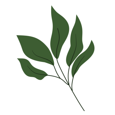 Yaprak simgesi, karikatür tarzı