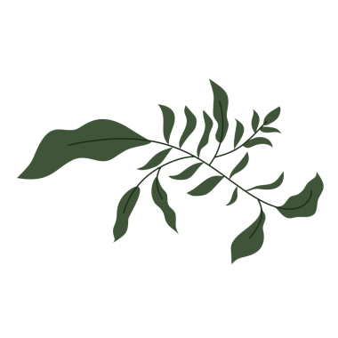 Yapraklı ve böğürtlen vektör illüstrasyon tasarımı