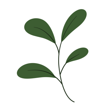 Vektör çizimi. Yaprakları ve beyaz arkaplanı olan yeşil bir dal. Vektör. beyaz arkaplanda izole edilmiş.