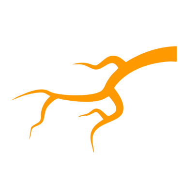 İnsan anatomisi vektör gösterimi