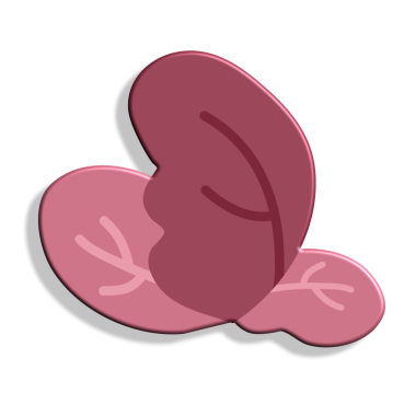 izole edilmiş tavuk budu ikonu. vektör çizimi tasarımı