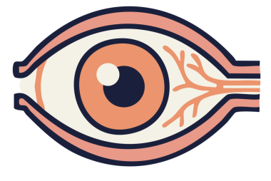 göz simgesini. Düz tasarım.