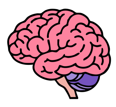 Beyin ikonlu beyin, çizim