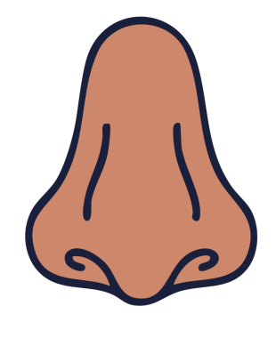 vektör çizim sevimli çizgi fil