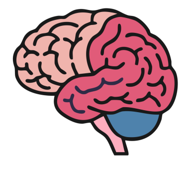 beyin ikonu vektör illüstrasyonu