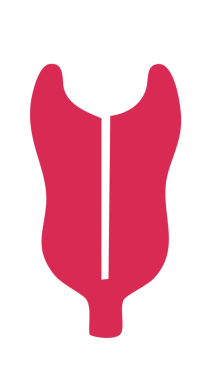 İnsan mide ikonu. düz dizayn. Beyaz arkaplanda izole edilmiş vektör illüstrasyonu