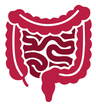 Bağırsak ikonu. ince çizgi biçimi