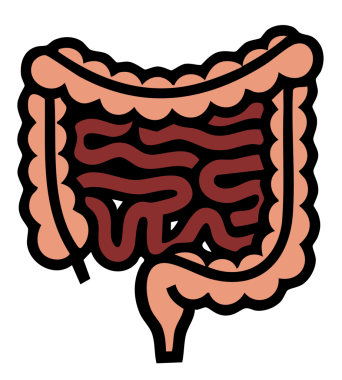 Mide simgesi, basit vektör çizimi