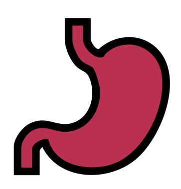 mide ikonu vektör illüstrasyonu