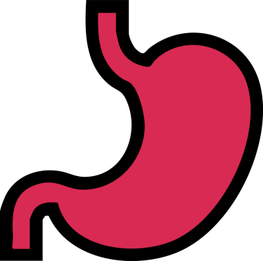 Bir insan midesinin vektör simgesi