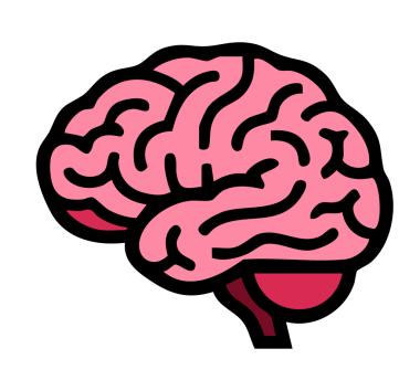 Beyin anatomisi vektör resimleme simgesi