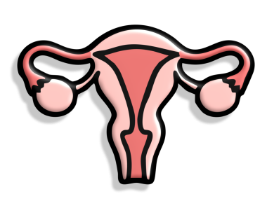 Kadın üreme organları ikonu. Web için insan organı rahim vektör simgesinin düz çizimi