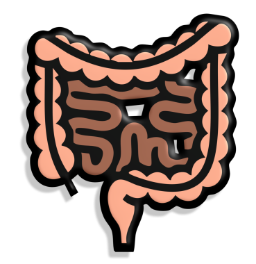 Bağırsak. Web simgesi vektör illüstrasyonu