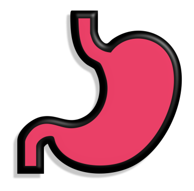 Mide simgesi, vektör illüstrasyonu izole edilmiş düz biçim