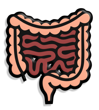Mide simgesi basit bir şekilde izole edilmiş vektör çizimi