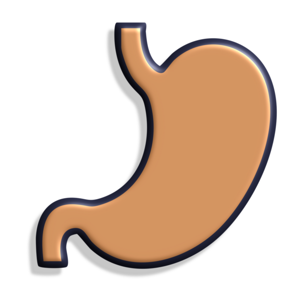 Mide simgesi. Web tasarım için mide vektör simgesinin düz Illustration