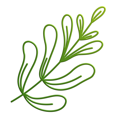 Siyah arkaplanda yeşil yaprak