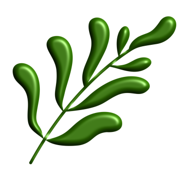 Yaprak simgesi, vektör illüstrasyonu