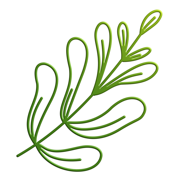 Siyah arkaplanda yeşil yaprak