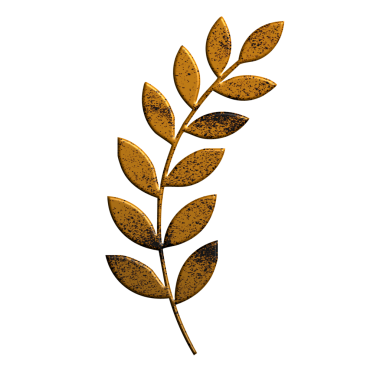 Siyah üzerine kuru yaprak