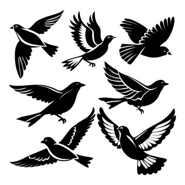 Kuşlar beyaz üzerine kurulur