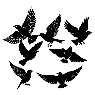 Beyaz zemin üzerinde güvercinlerin siyah siluetlerini yönlendir