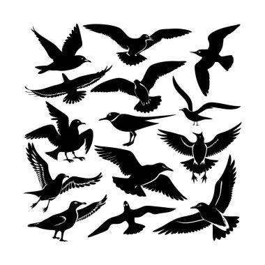 siyah güvercin siluetleri