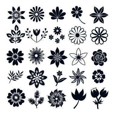 Çiçek ve bitki koleksiyonu