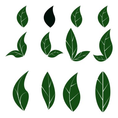 Yeşil yaprakların vektör kümesi