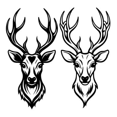 geyik kafası ve iki boynuz.