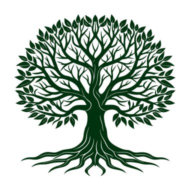 Yaprakları ve kökleri olan ağaç