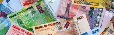 Masaya Ugandalı şilin para yığını yığılıyor. UGX para biriminin Uganda banknotları. İş kavramı, Uganda 'da ekonomi yatırımı.