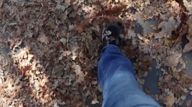 Mavi kotlu ve siyah ayakkabılı kişi meşe ve akçaağaç yaprakları arasında yürüyor.