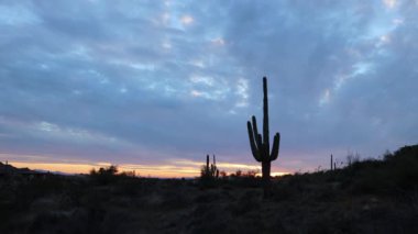 Saguaro kaktüsü ve sagebrush zaman atlaması ile Arizona Çölü üzerinde renkli günbatımı bulutu
