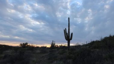 Gün batımında saguaro kaktüsü ve ağır bulutlu gökyüzü ile çölün üzerinde zaman kaybı..