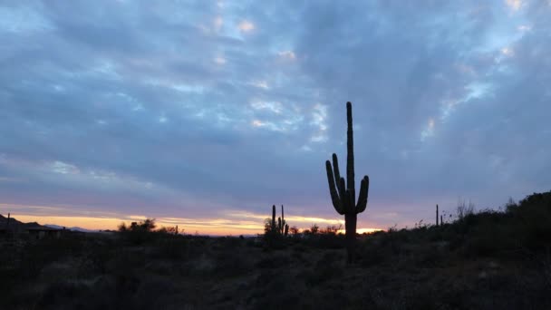 Kleurrijke Zonsondergang Bewolkt Arizona Woestijn Met Saguaro Cactussen Sagebrush Tijd — Stockvideo