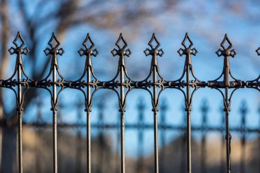 Viktorya dönemi fleur de lis çiti işlemeli demirden yapılmıştır.