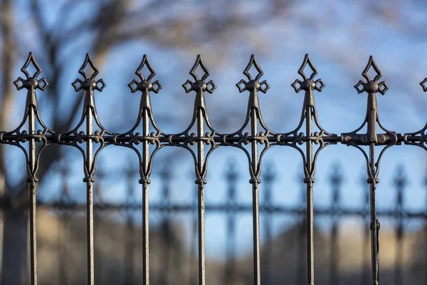 Victorian Fleur Lis Cerca Feita Ferro Forjado Com Fora Foco — Fotografia de Stock