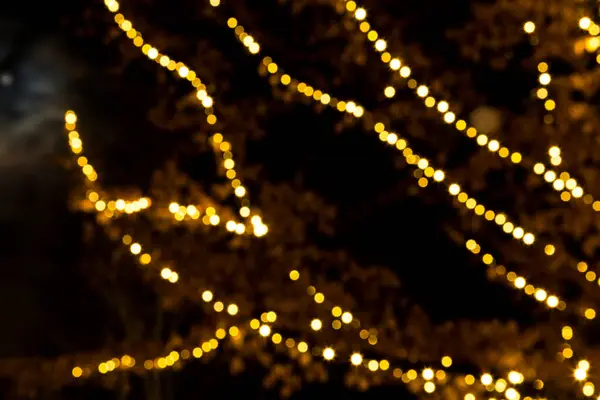 장식이 가지들은 크리스마스의 불빛으로 장식되어 — 스톡 사진