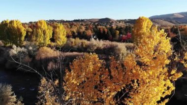 Sonbahar ağaçları ve nehir kenarındaki yollar üzerinde bırakılan drone tavası