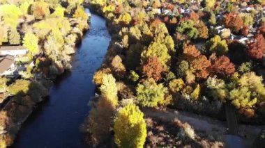 Nehir ve ağaçların üzerinde uçmak yerleşim yerlerinin renginde