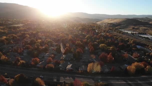 Drone Volar Hacia Adelante Sobre Valle Lleno Árboles Color Otoño — Vídeos de Stock